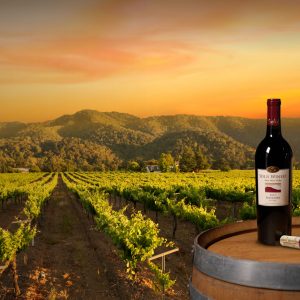 Bottle of Wine with Vineyard backdrop
